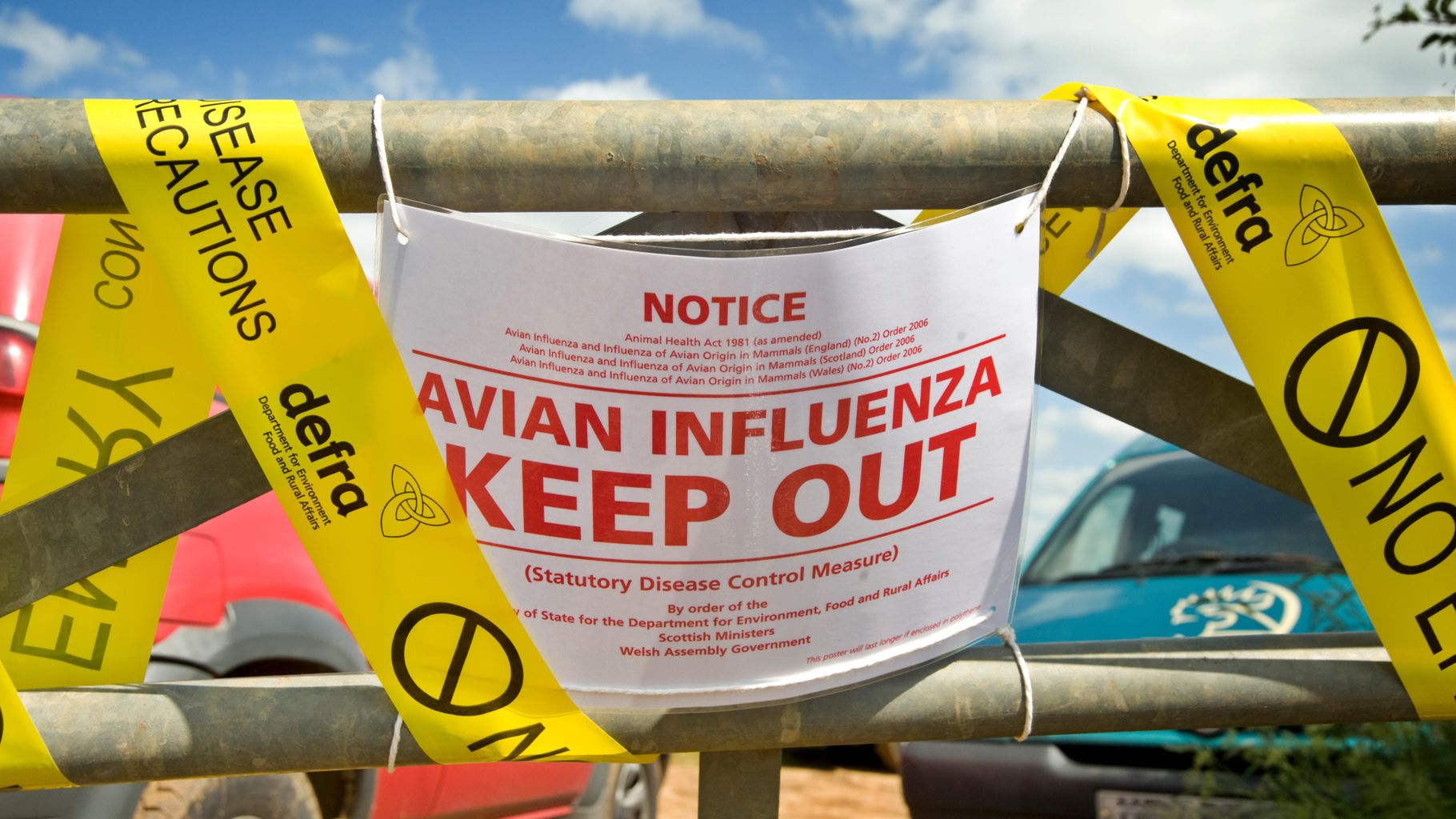 Farmers doing Everything To Avoid Spread Of Bird Flu In Turkeys legacy-bill-biggest-abuse-of-human-rights-in-uk-history-says-victims